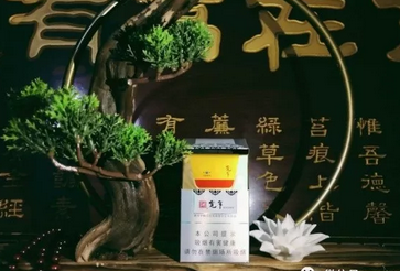 外烟坐几路车到怀孕